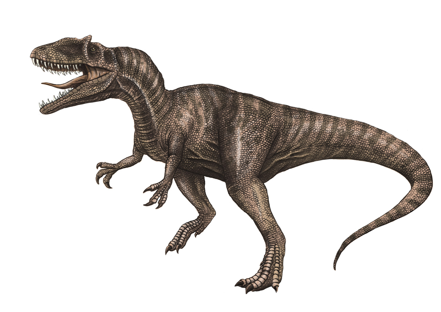 Terópodos | Dinosaurios de la Ruta de las Icnitas en las Tierras Altas de  Soria | Ruta de las Icnitas de Soria
